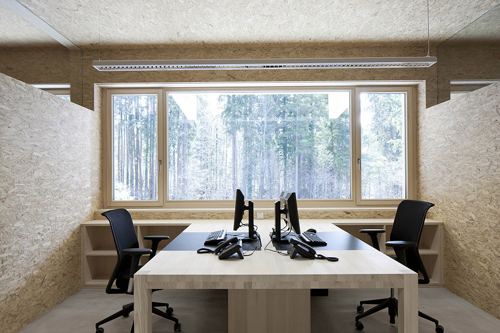 Interior offices in wood