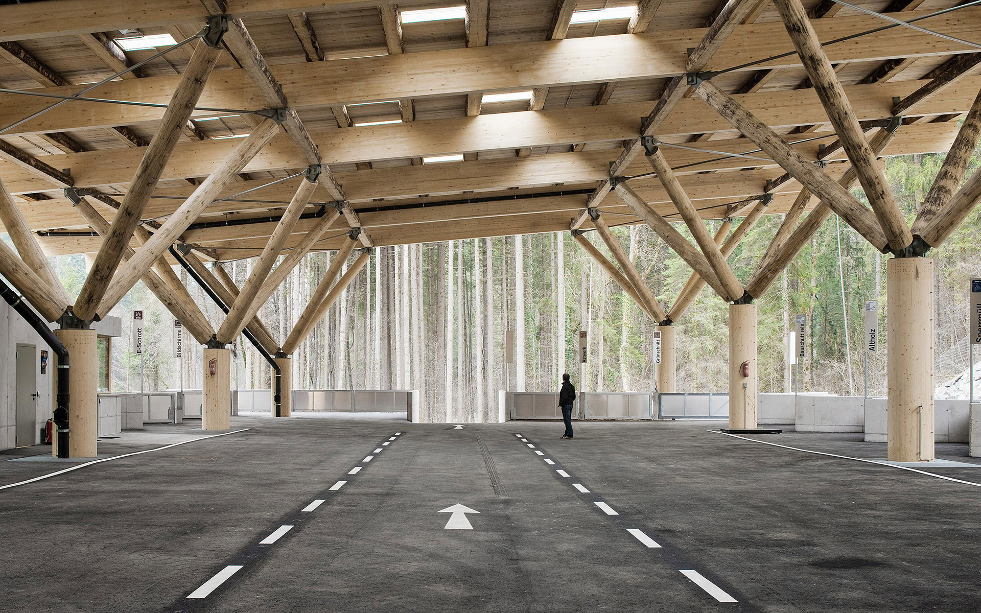 Estructura de madera entre los árboles