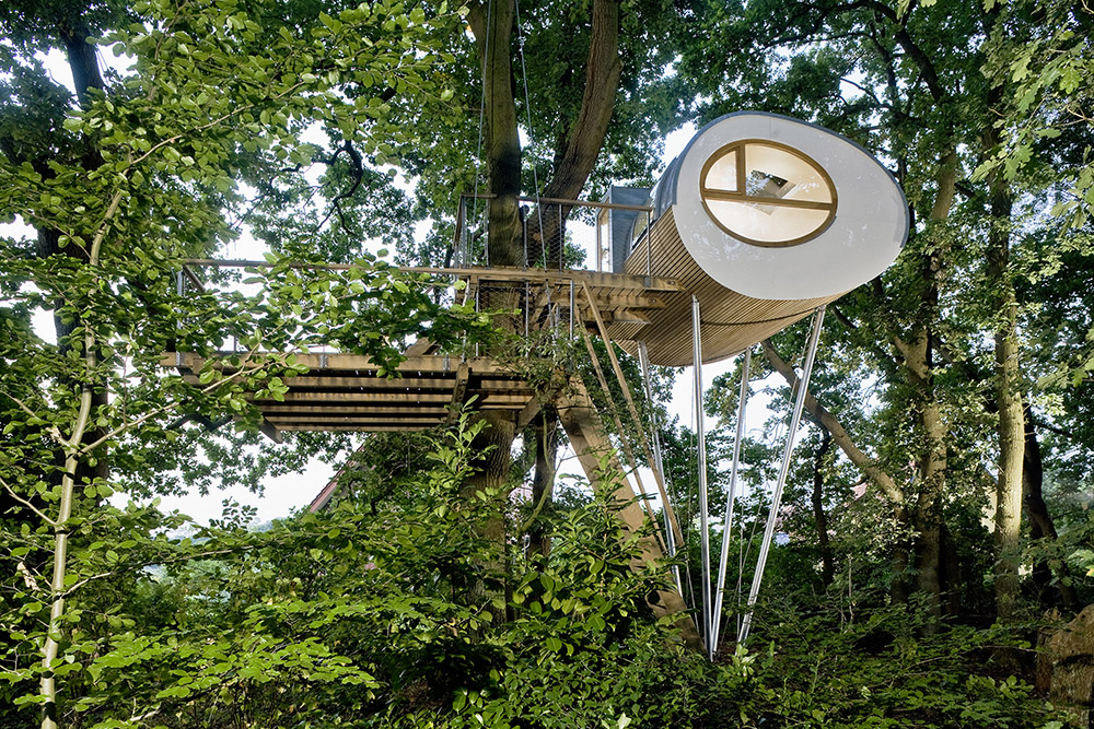 Casa sull'albero a forma ovoidale