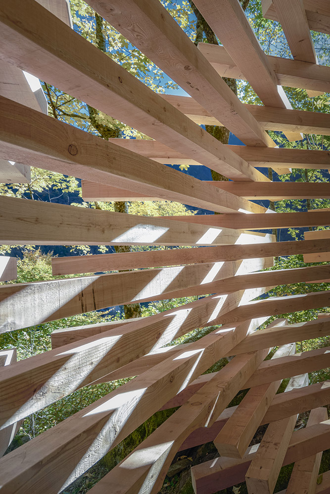 Wooden sculpture immersed in the wood