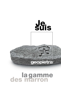 Geopietra-Catalogue Gamme Marron