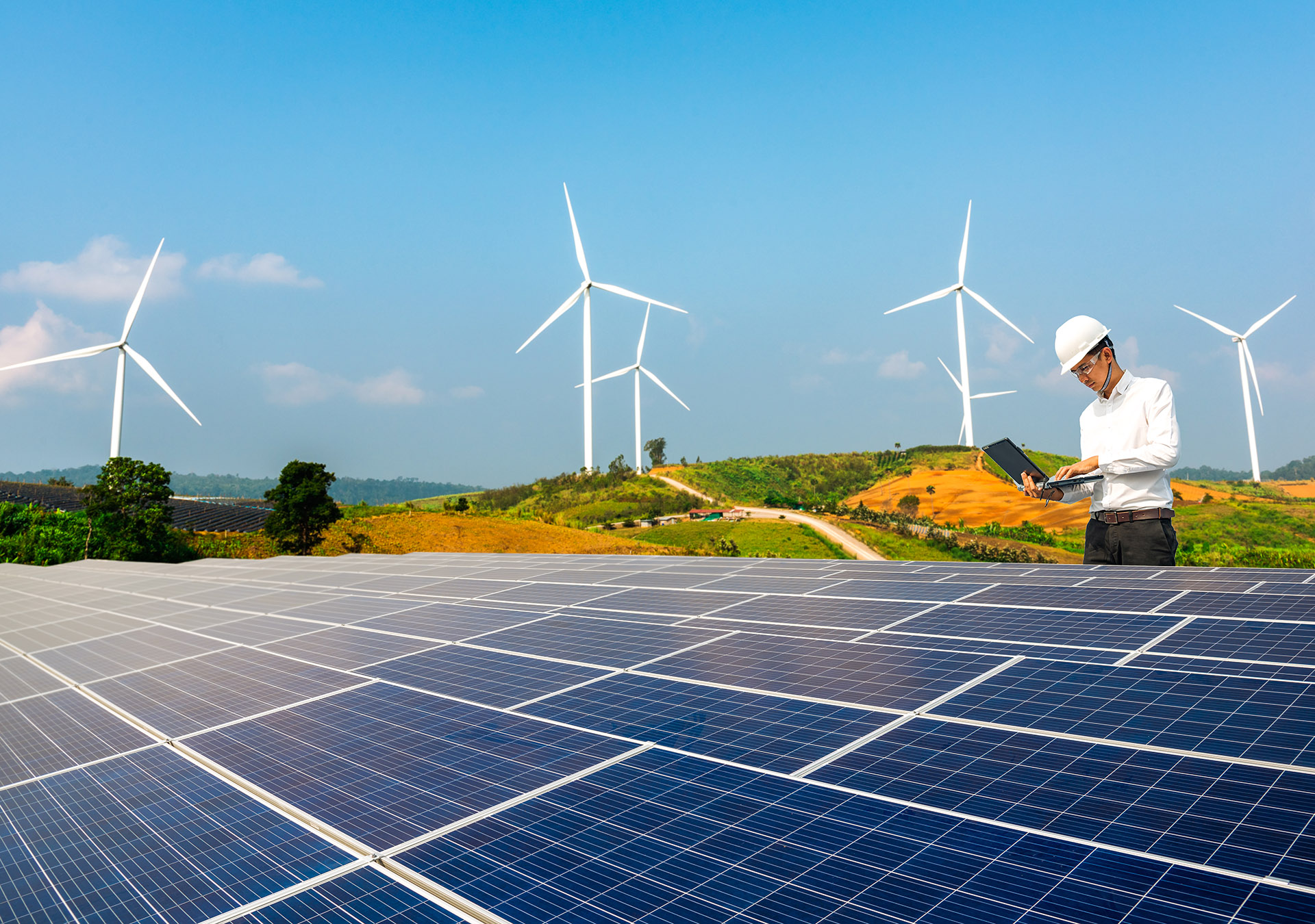 Renewable energy and plants