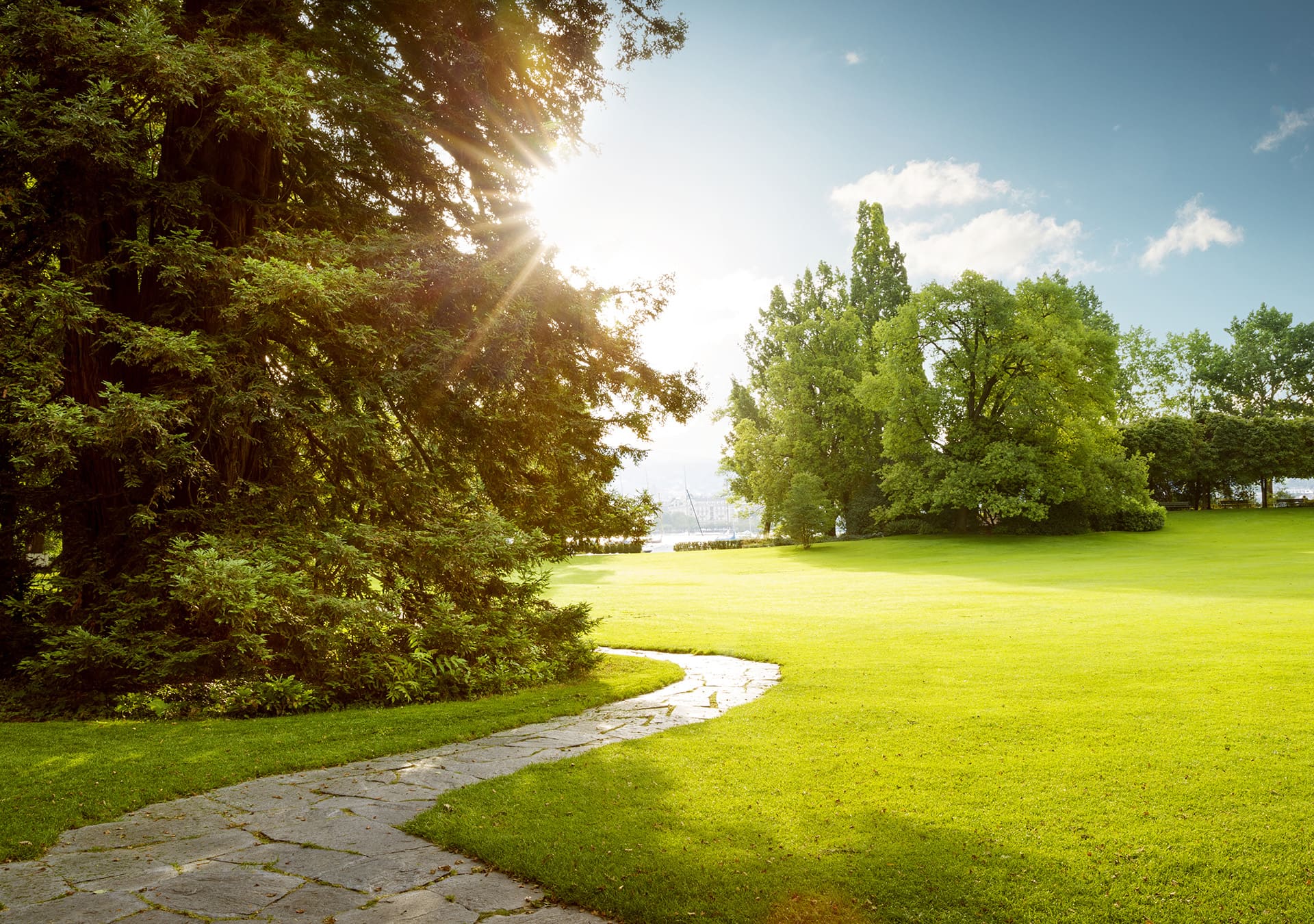 Example of garden and park project