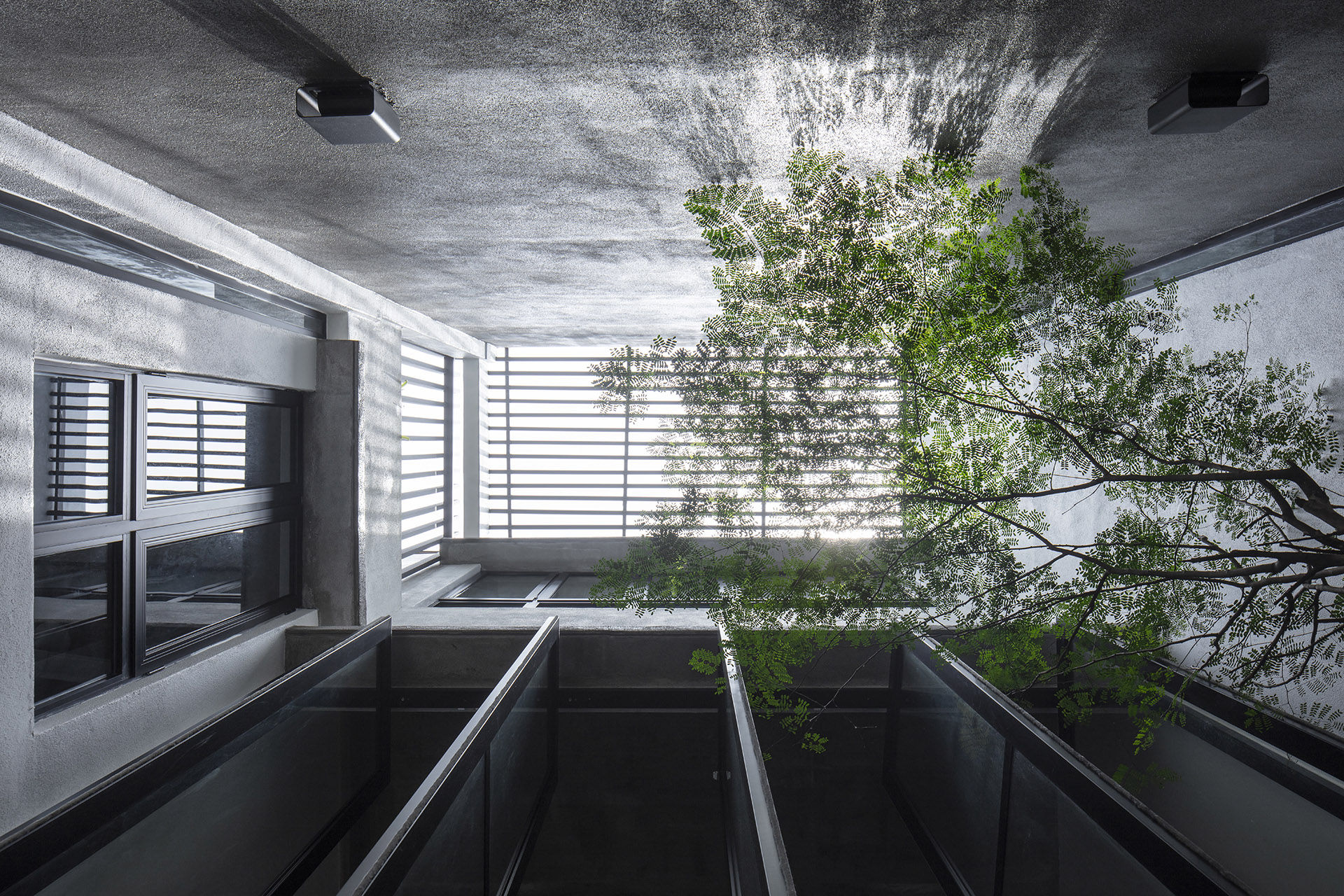 Outdoor that breaks into indoor. Light, sky, air and vegetation animate an industrial-chic house