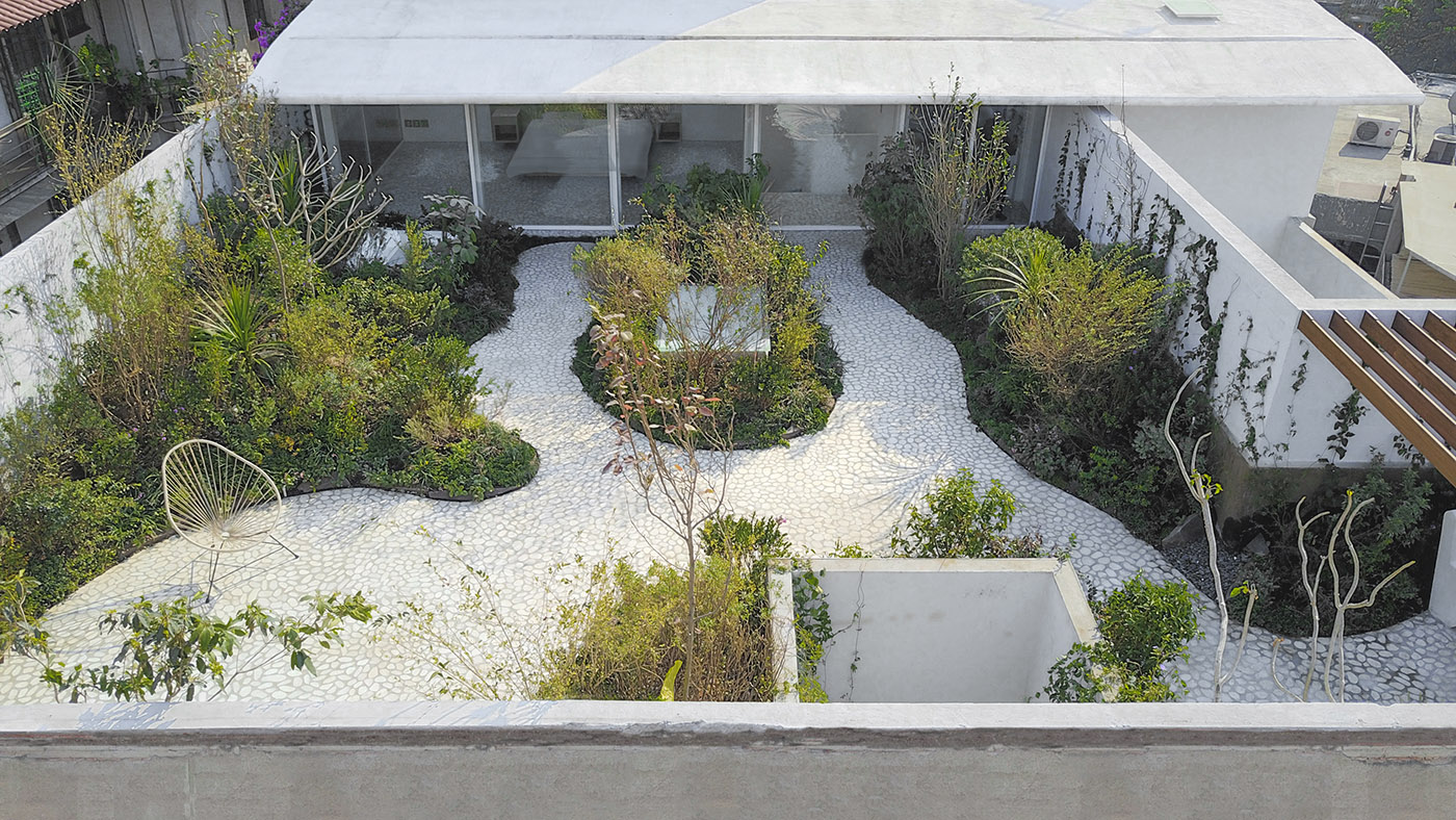 An oasis of nature and serenity in Mexico City: Casa Verne, amidst slits of light and hanging gardens