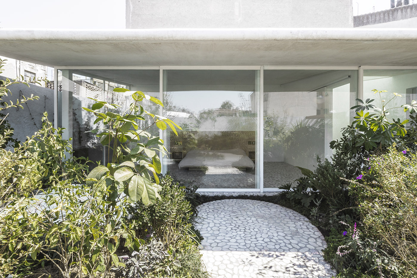 An oasis of nature and serenity in Mexico City: Casa Verne, amidst slits of light and hanging gardens