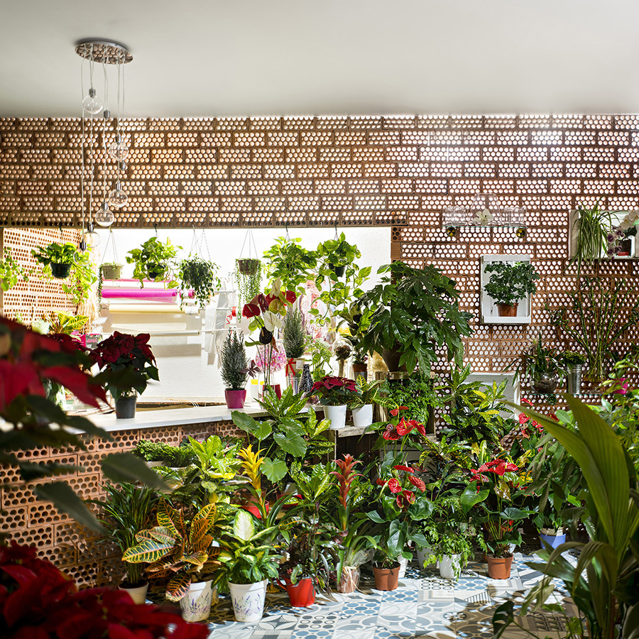 Magasin de fleurs contemporain