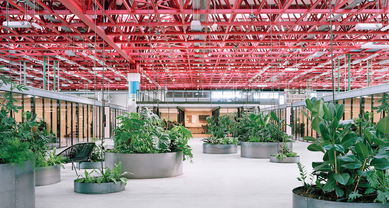 Conversion of a former industrial building. New work spaces for ...