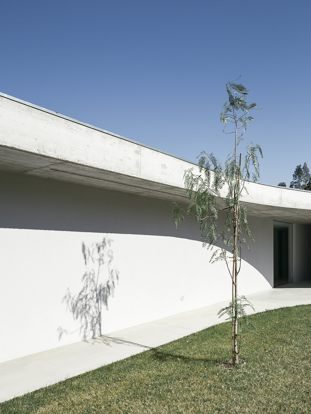 Gloma House, two organically shaped cement slabs define the architecture