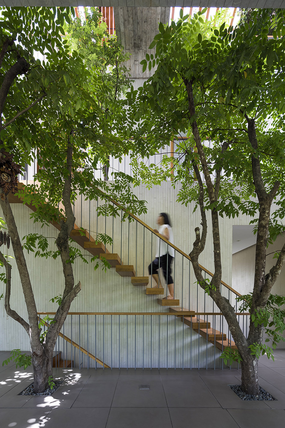 Stepping Park House: el reto vietnamita de integrar la naturaleza en la arquitectura