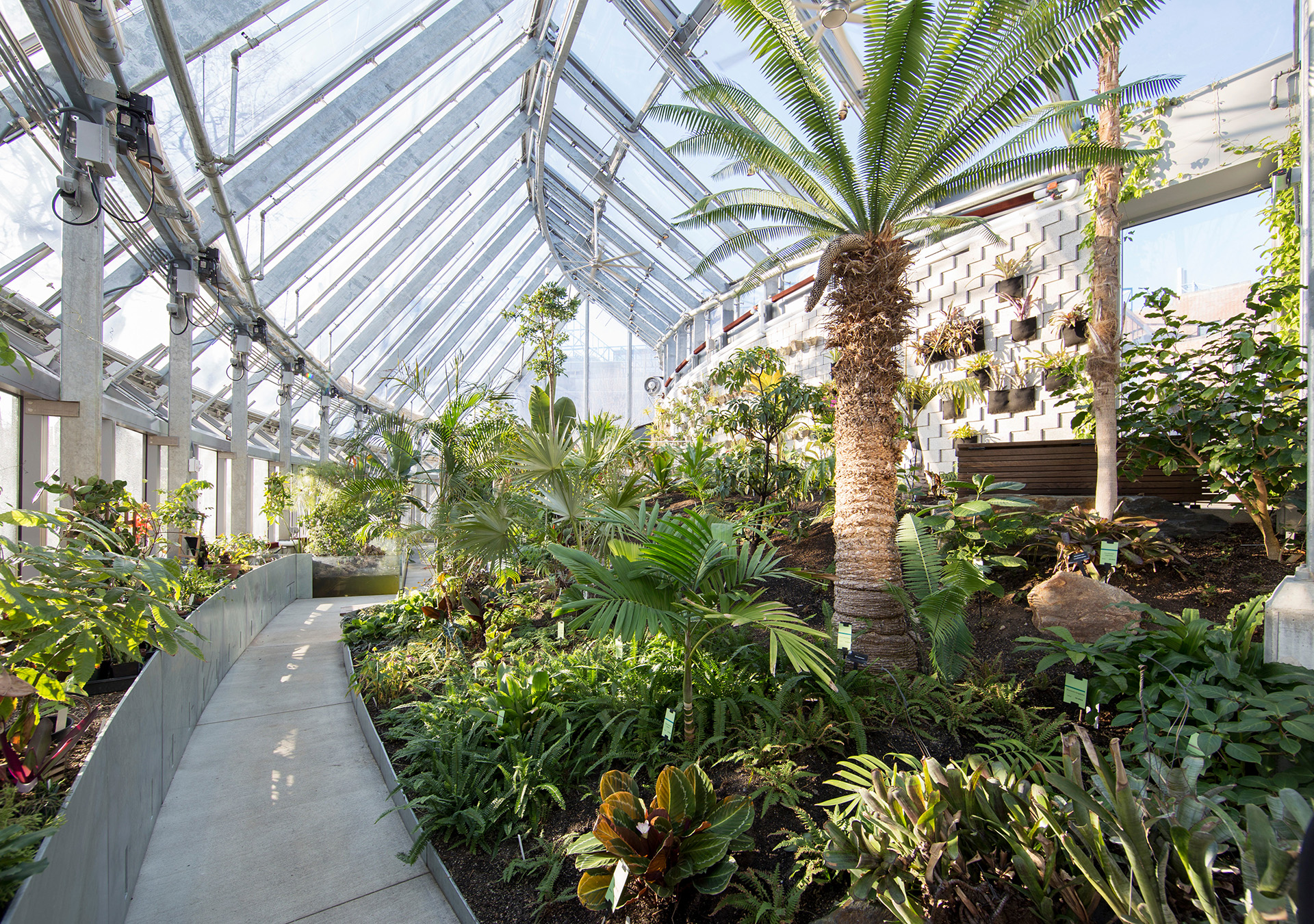 Global Flora Conservatory, a dynamic space brimming with diverse vegetation