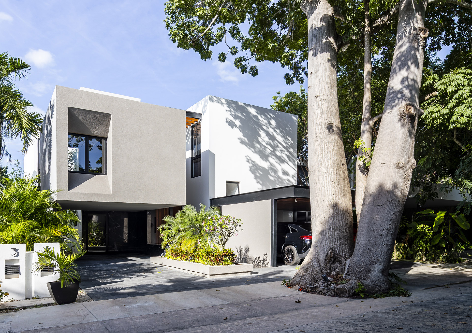 Casa Yaxché and the preserved tree in order to be fully embraced by the housing project