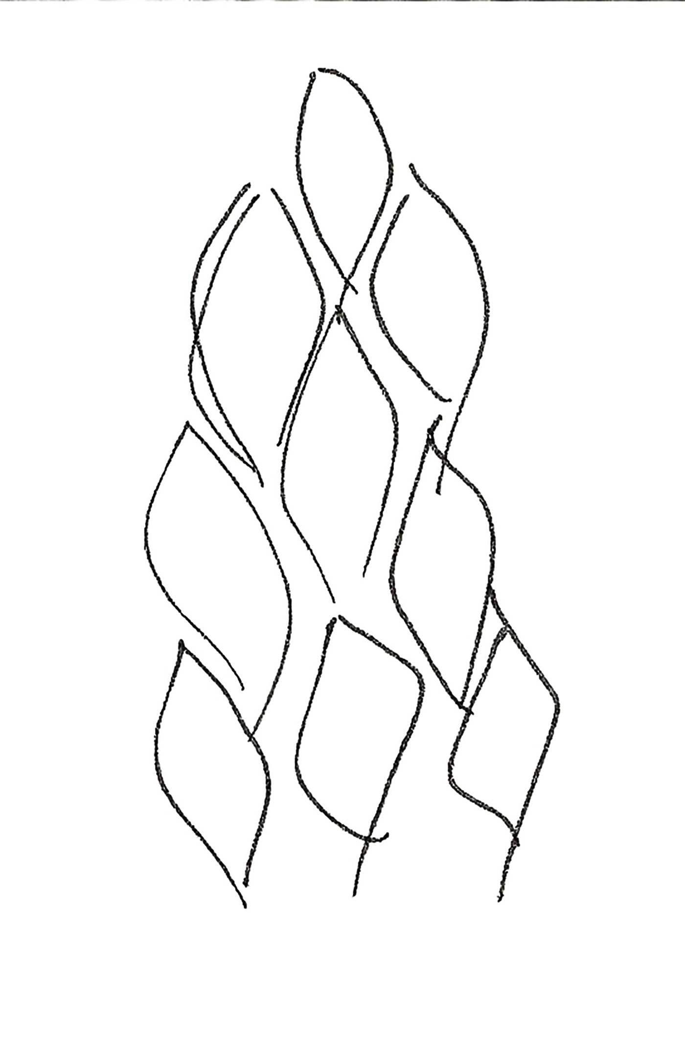 DIAGRAM ダイアグラム / La Maison de Lyllis John W. Olver Design Building - Leers Weinzapfel Associates