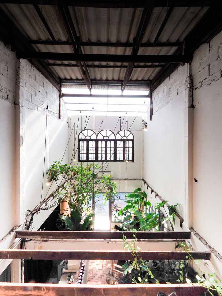 Too Can Cafè, árboles y plantas: ¿interior o exterior?