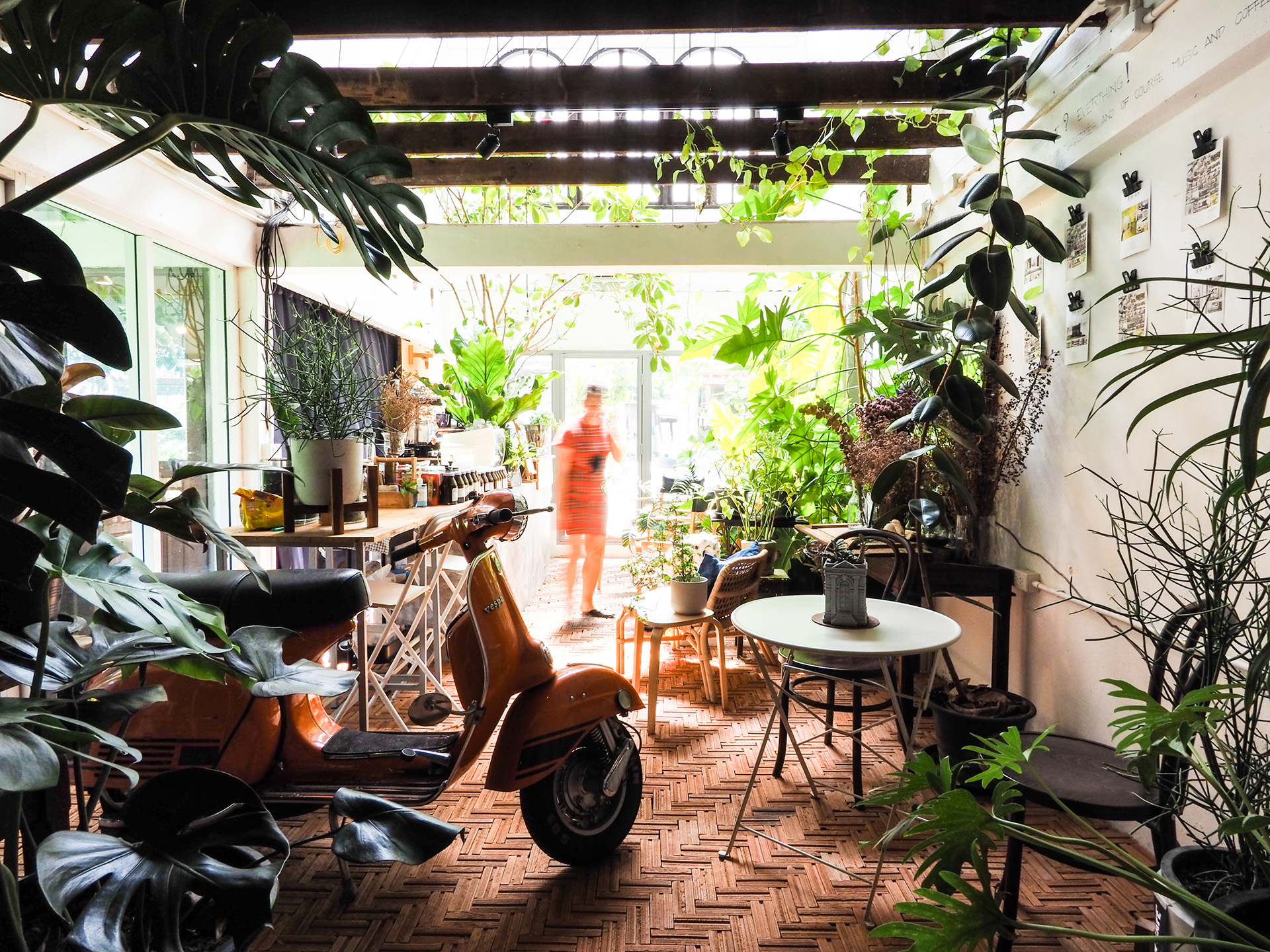 Too Can Cafe, trees and plants: indoors or outdoors?