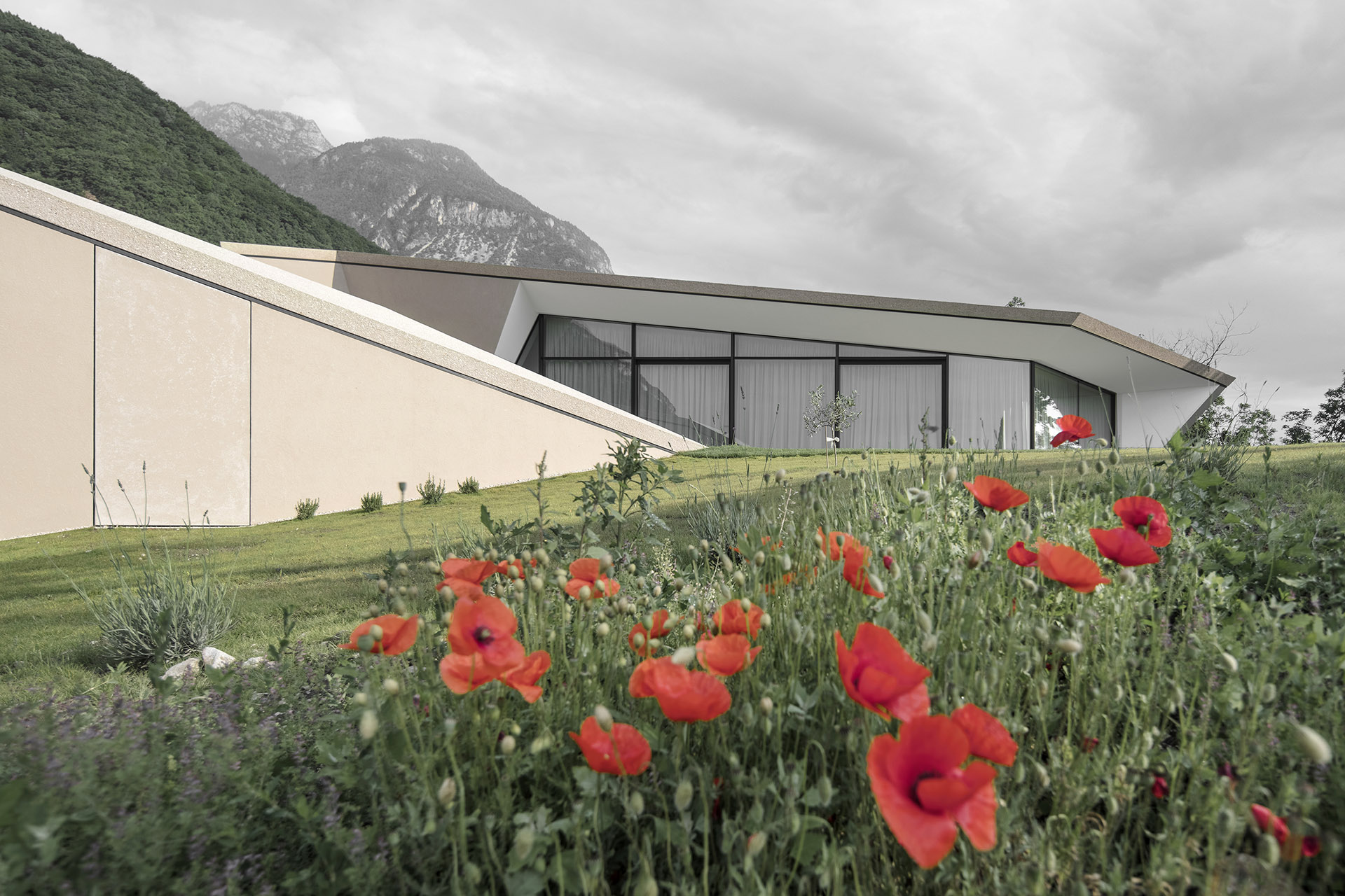 An architecture inspired by the vineyard landscape in northern Italy. Villa Kastelaz Hof in the home of Gewürztraminer