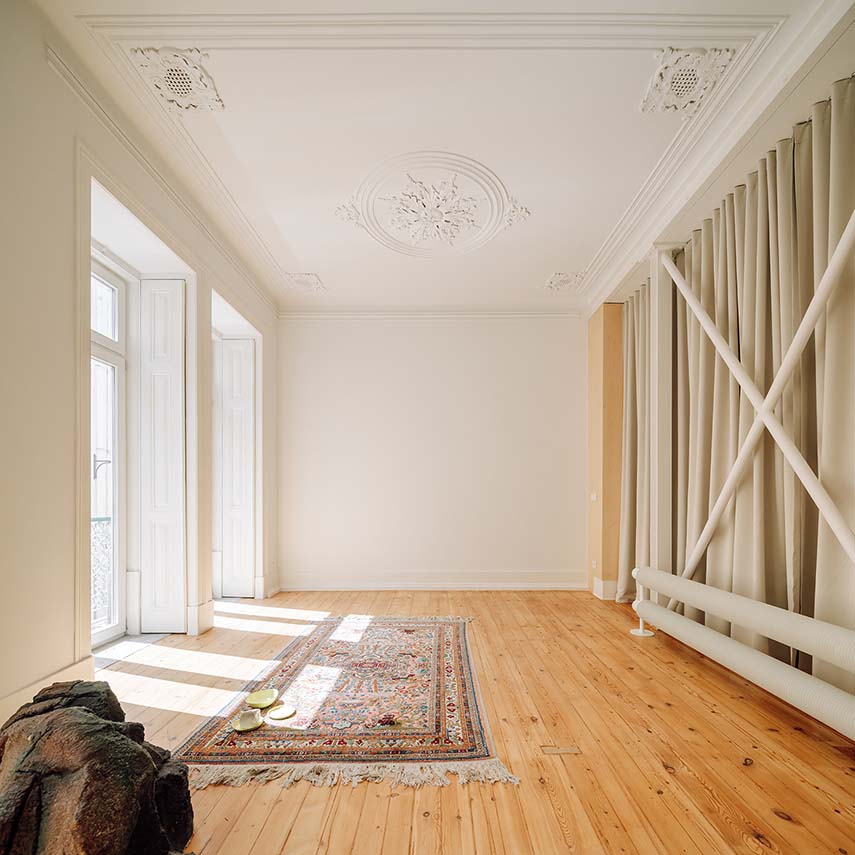 MARIA. A house with a fluid identity, designed without prejudice