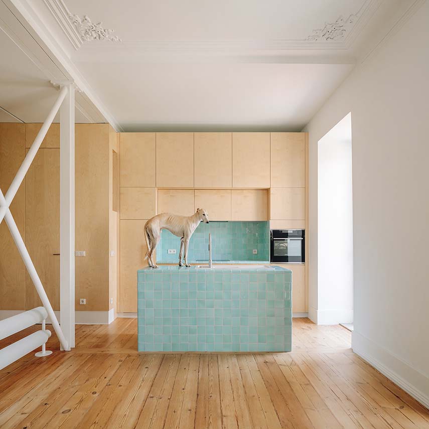 MARIA. A house with a fluid identity, designed without prejudice