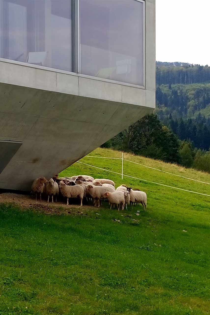Konieczny's Ark : Une maison intégrée au paysage dans les montagnes