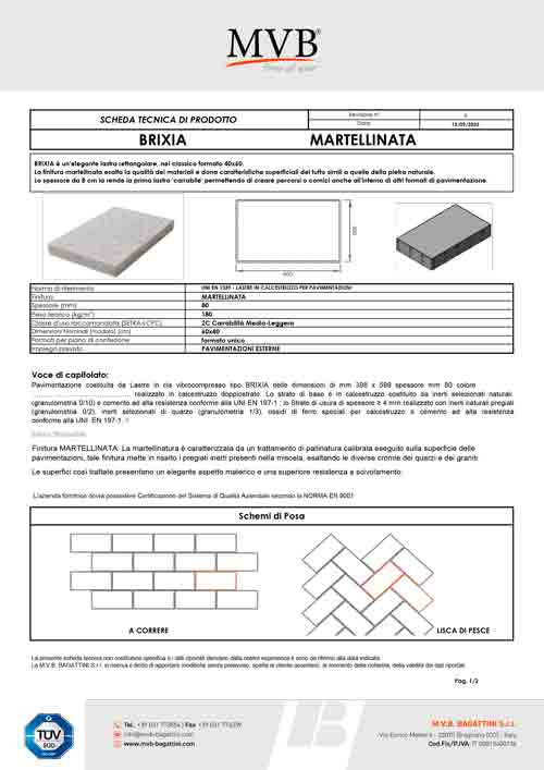 BRIXIA MARTELLINATA-Scheda tecnica