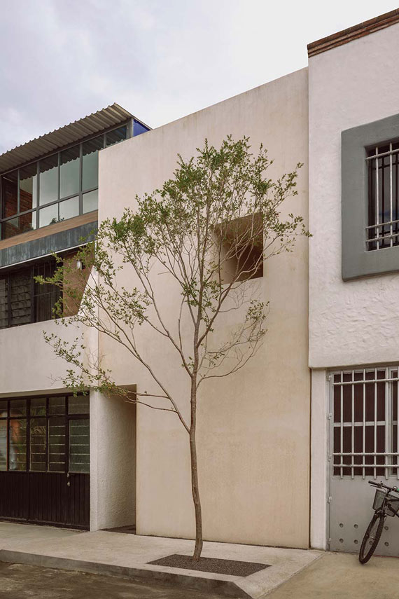 Casa Emma. A space of light, emotions, and connection with oneself