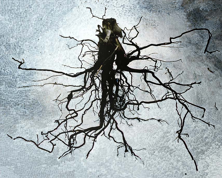 This Body Made of Stardust: le corps fragile et puissant de Viviane Sassen