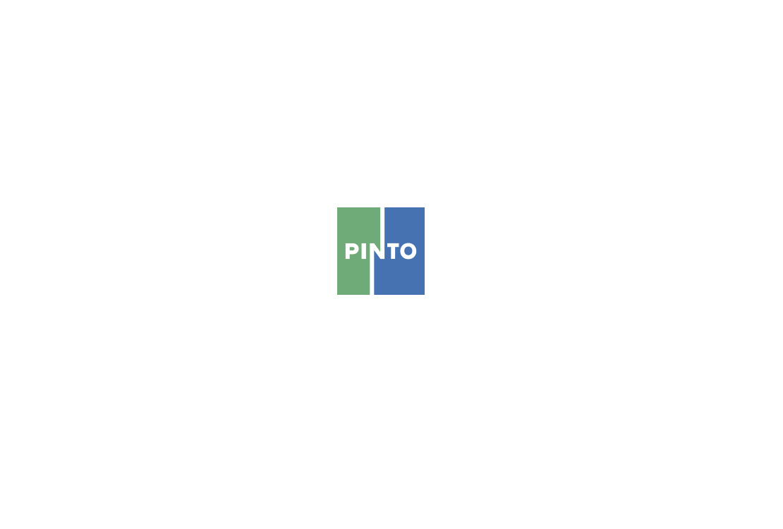 Immagine copertina Pinto