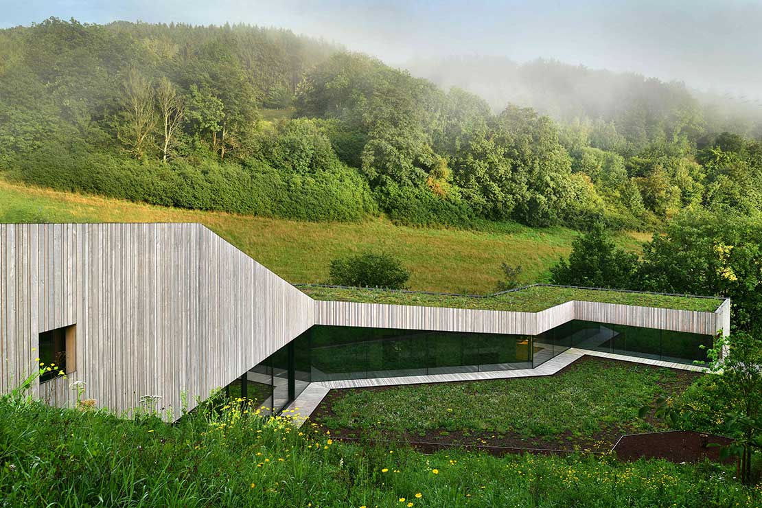 L'écho de la forêt dans le corps de l'architecture