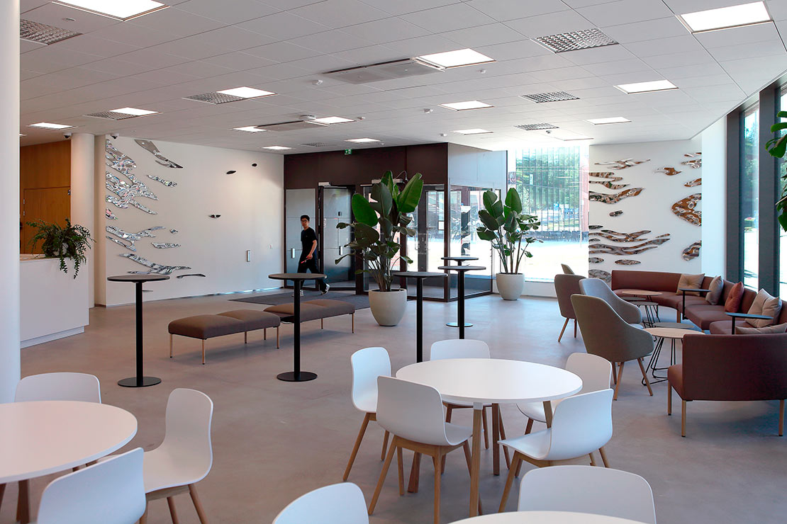 En movimiento. La luz que se convierte en paisaje en movimiento.