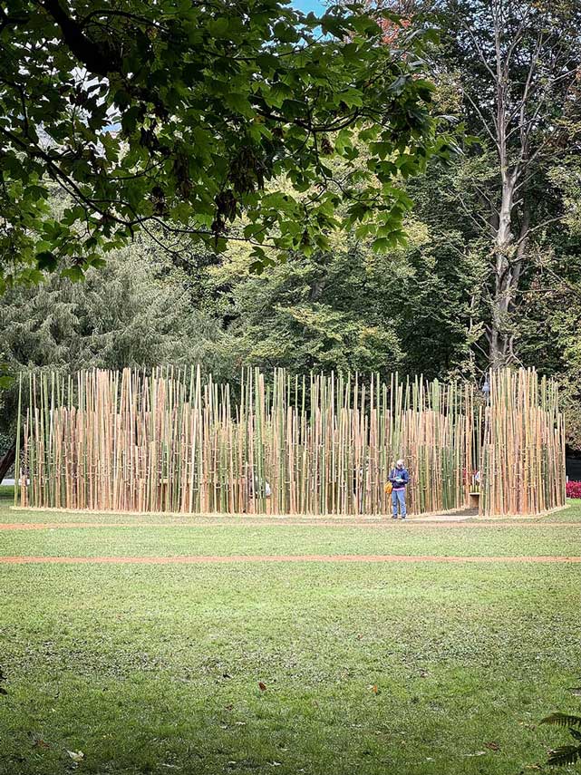 Padiglione UnSoiled e la meraviglia della ciclicità dell’esistenza