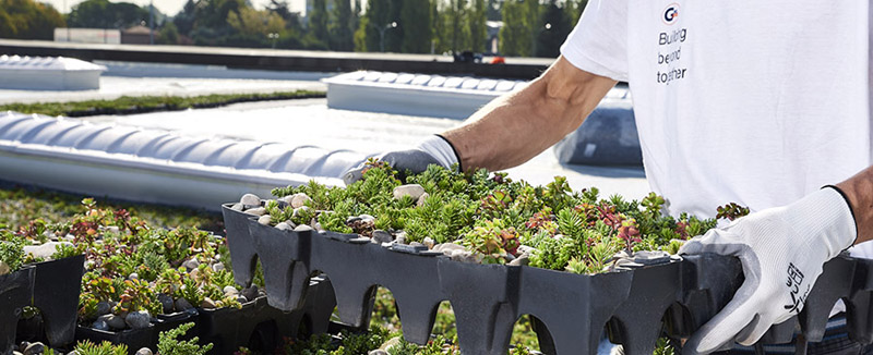 Sistema di drenaggio e accumulo per giardini pensili Completa Geoplast