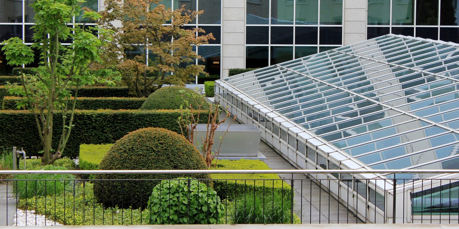 Extruded plastic foam panels
