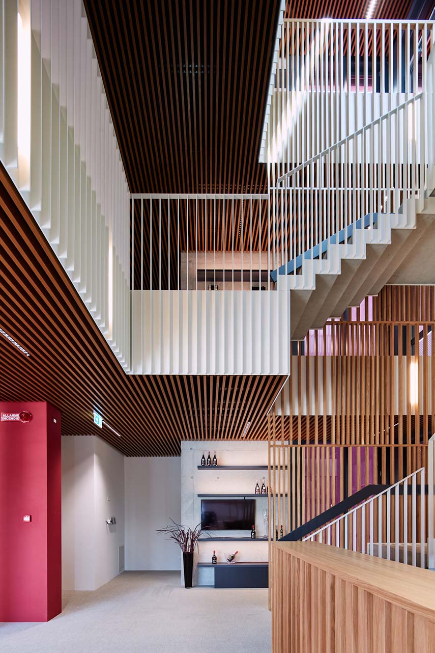 Montelliana Winery, a new landmark in the production landscape