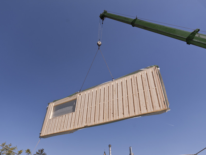 Wall CLT ribbed Lignotrend