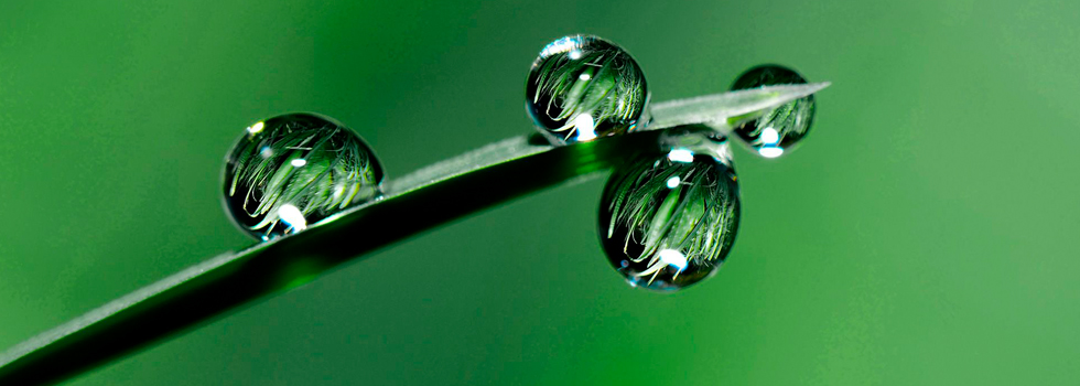 Active Surfaces