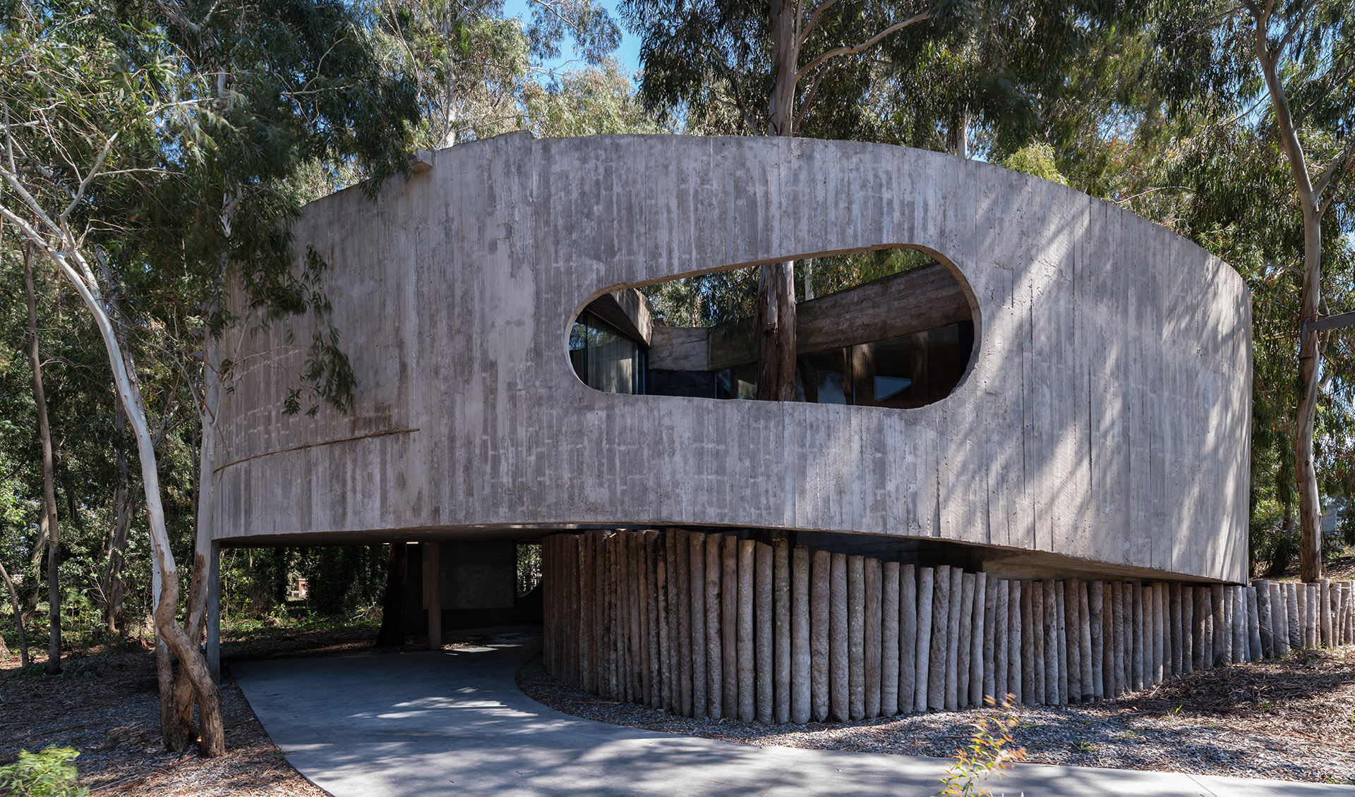 Concrete shell in a eucalyptus forest. A multiplicity of paths and spatial relations