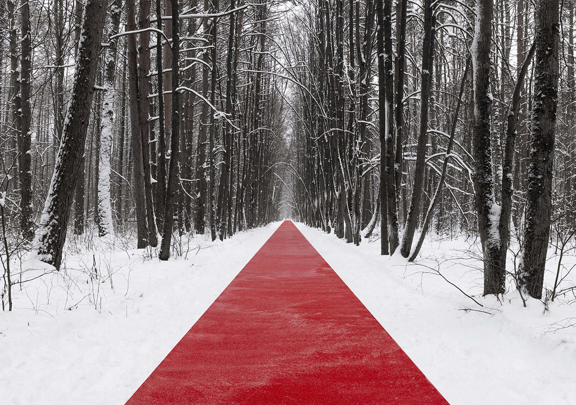 Nowhere. A red thread in the white landscape, effects of perspective and infinity