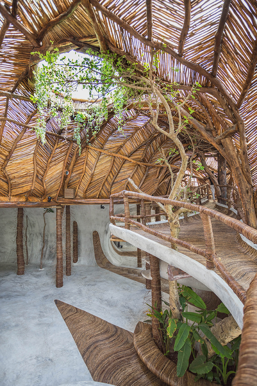 museum eco-sustainable wooden structure