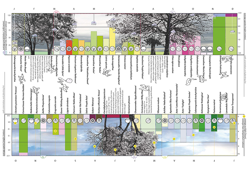 Park and graphics