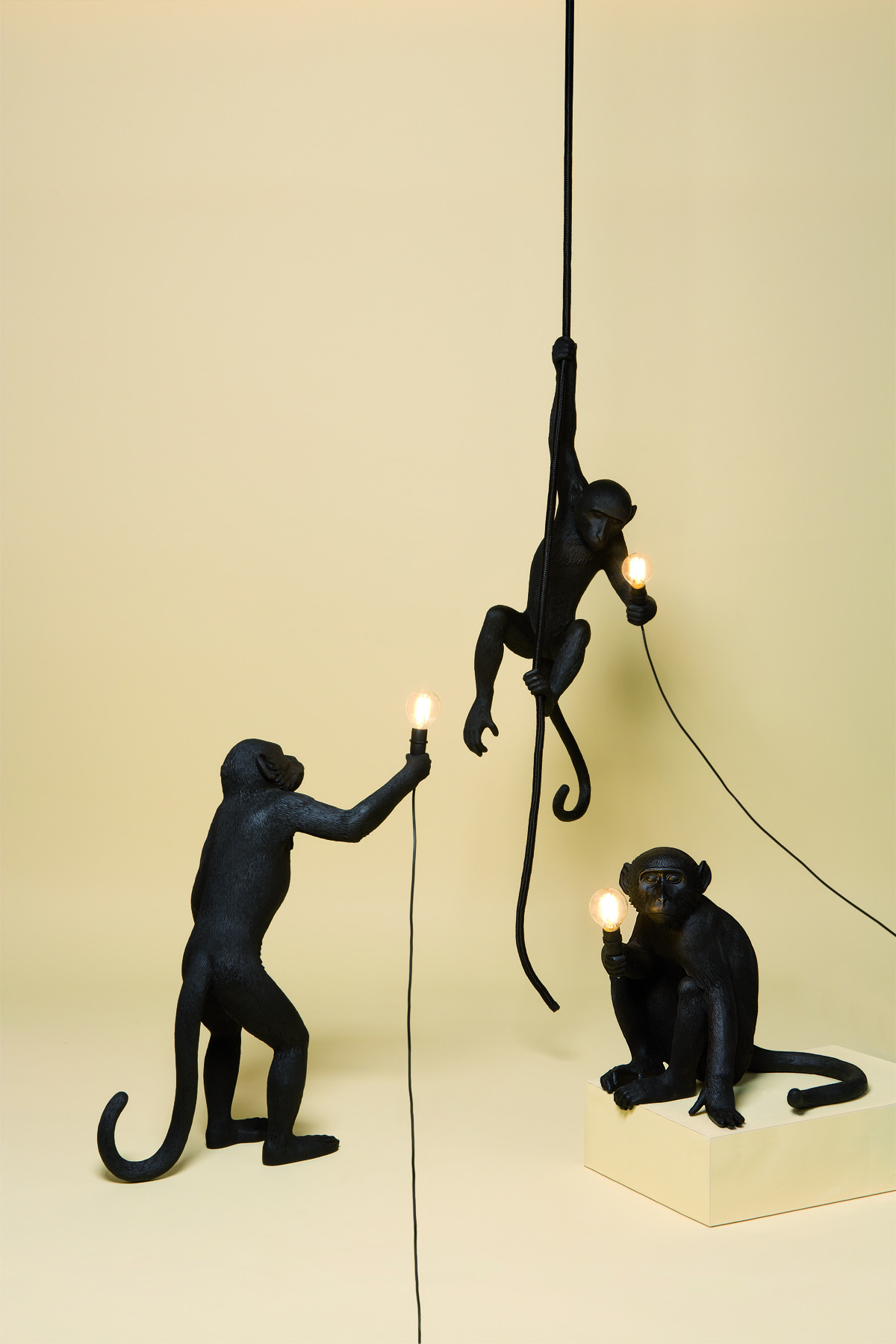 Scimmie nere con lampade