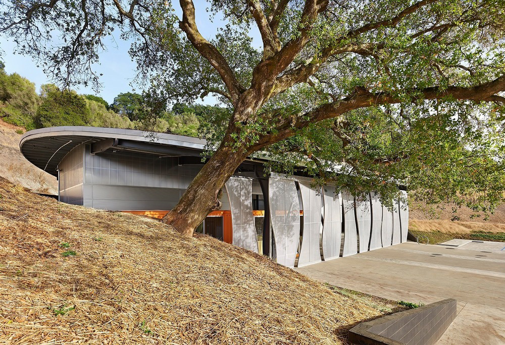 Vignoble en Californie. Formes courbes pour le bâtiment industriel