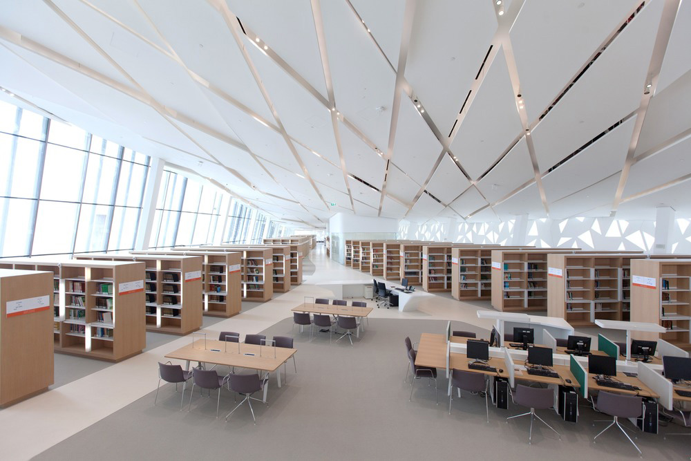 universidad de qatar