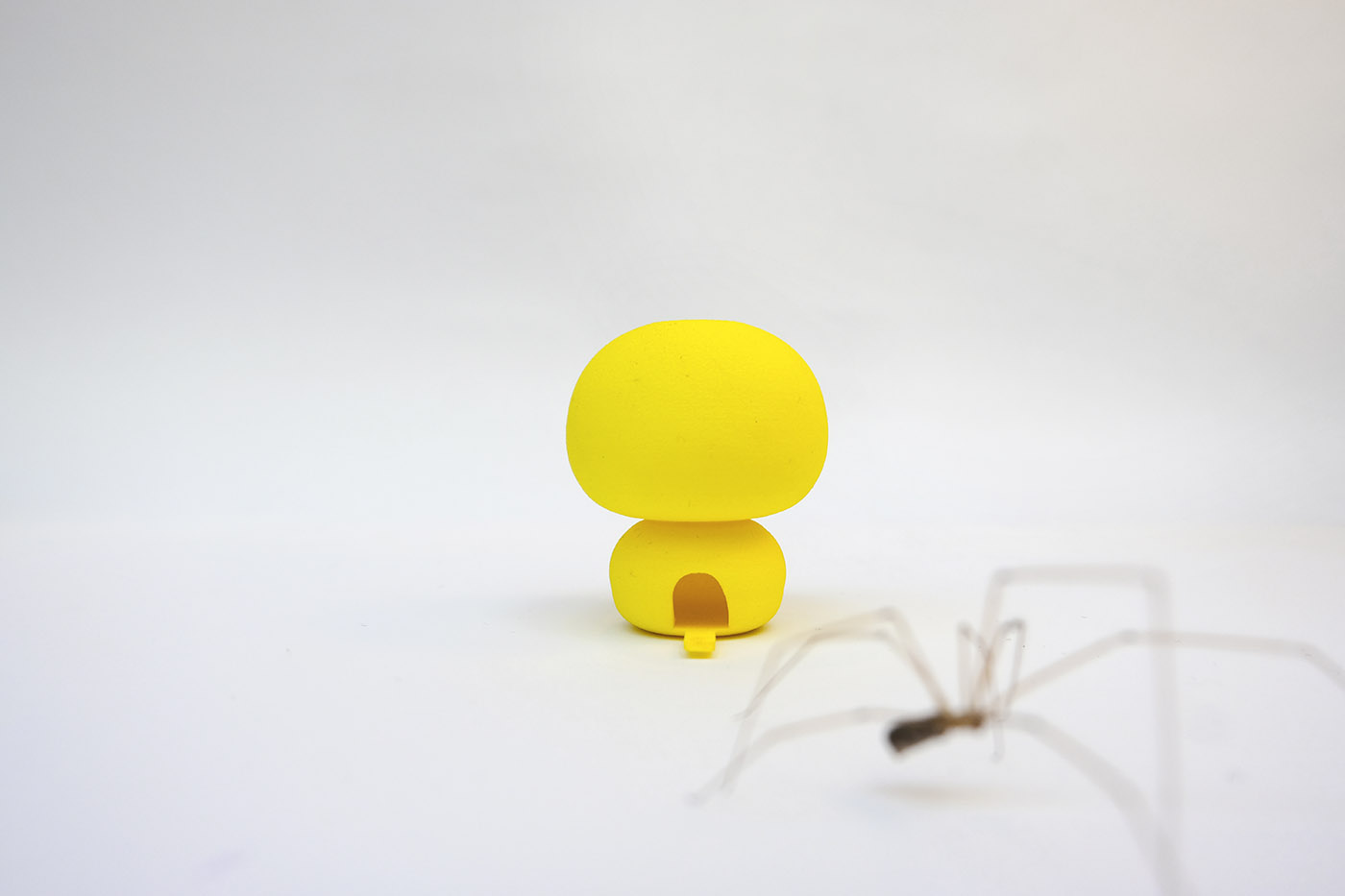 casa insetti plastica