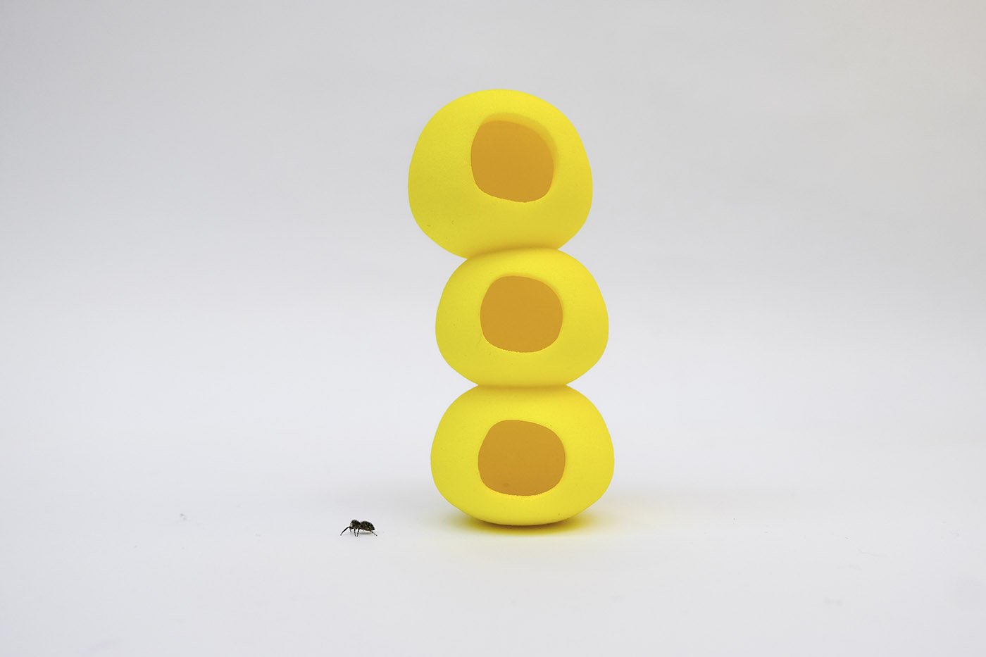 casa insetti plastica
