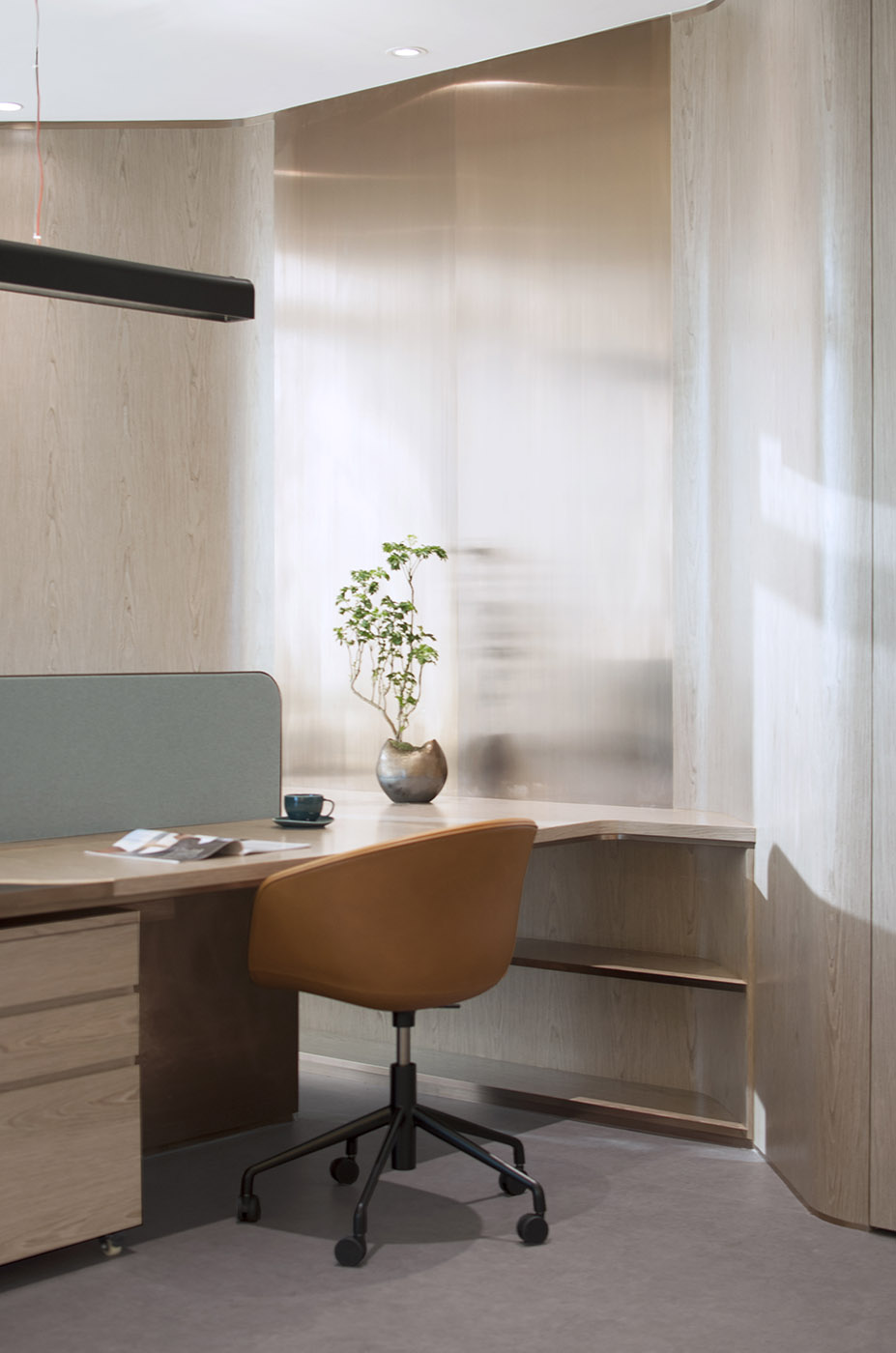New design for an office in Hong Kong. Luxury workspace with organic shapes
