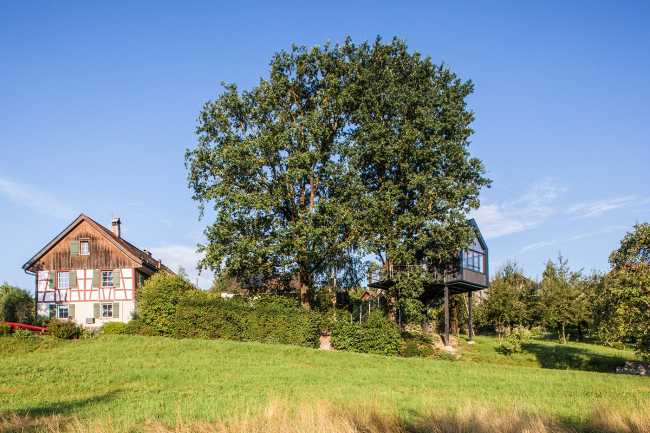 A special shelter: the treehouse in Halden
