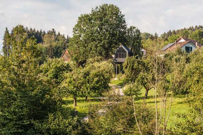A special shelter: the treehouse in Halden