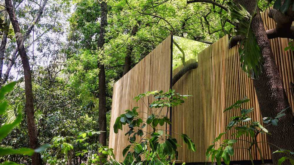 Villa nestled in an orchard in Mexico. Sensual textures among trees and courtyards