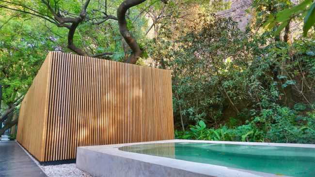 Villa nestled in an orchard in Mexico. Sensual textures among trees and courtyards