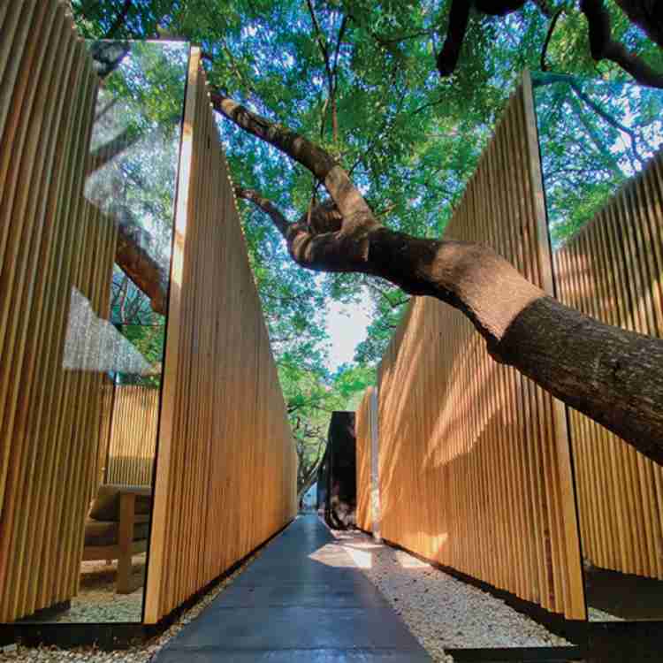Villa nestled in an orchard in Mexico. Sensual textures among trees and courtyards